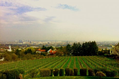 Blick über Wien