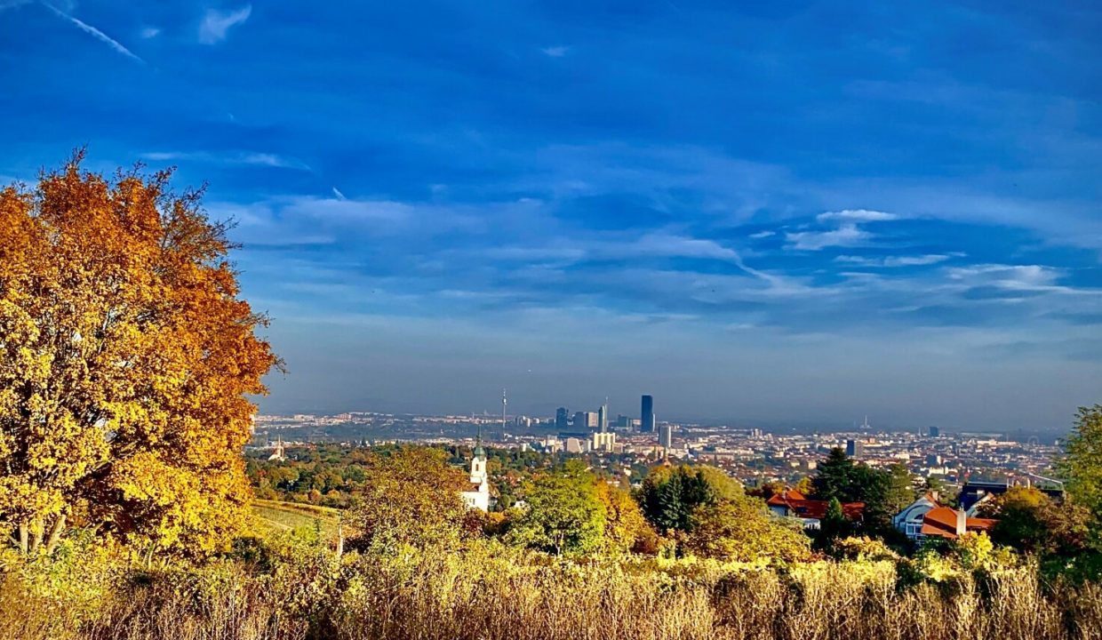 Bellvue im Herbst