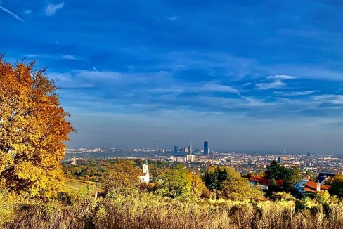 Bellvue im Herbst